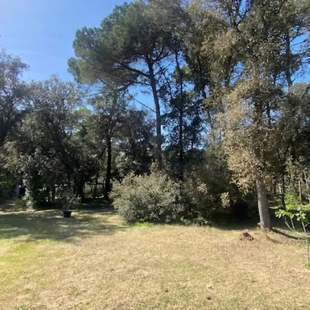 Villa Henri Iv La Couarde-sur-Mer