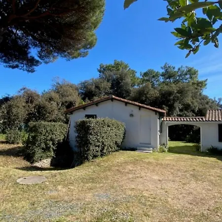 Amareva - Henri Iv * La Couarde-sur-Mer